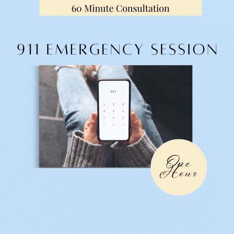 911 emergency session